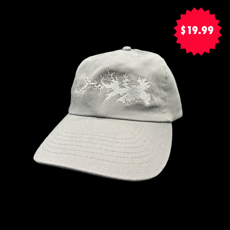 1776 $19 SC Lake Murray Grey Cleanup Hat