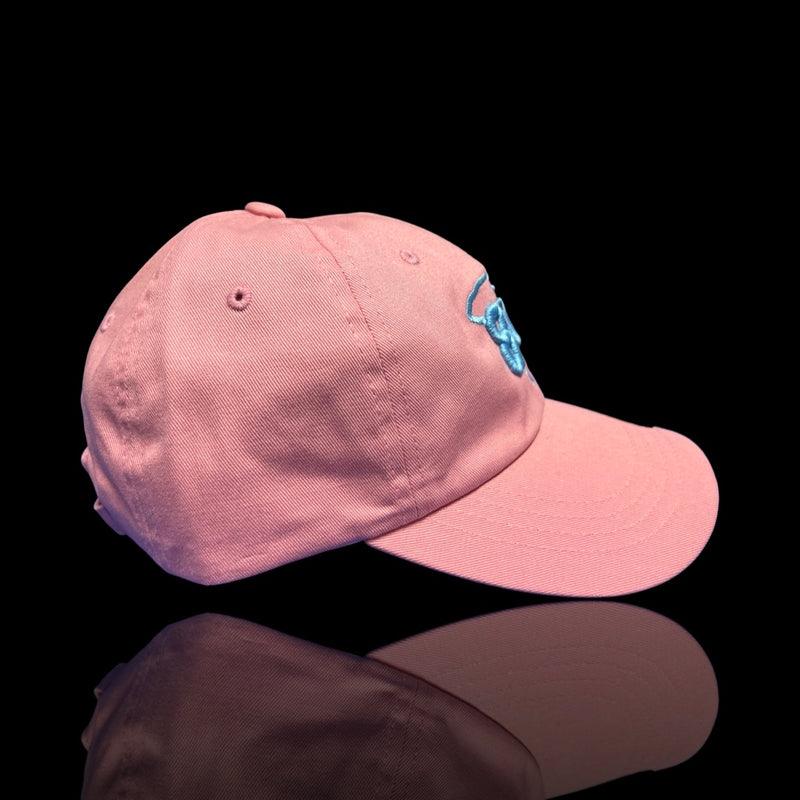 803 Yupoong Adjustable Pink Blue Cleanup Hat