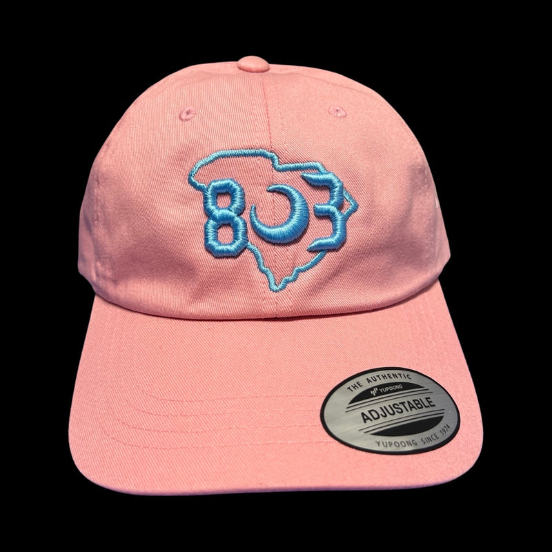 803 Yupoong Adjustable Pink Blue Cleanup Hat