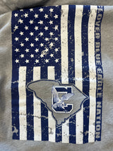 Clover Blue Eagles Nation 803 Special Edition Unisex Performance Distressed Flag Hoodie