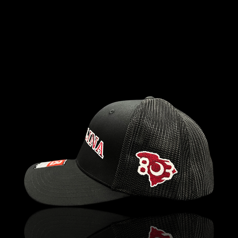 803 Richardson 110 Fitted Carolina Black Widow Flexfit Trucker Hat