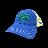 803 Pleasant Hill Cougars Special Edition Relaxed Fit Cleanup Hat