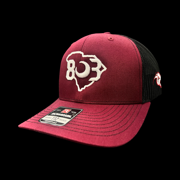 803 Pelion Panthers Special Edition Richardson Trucker Hat