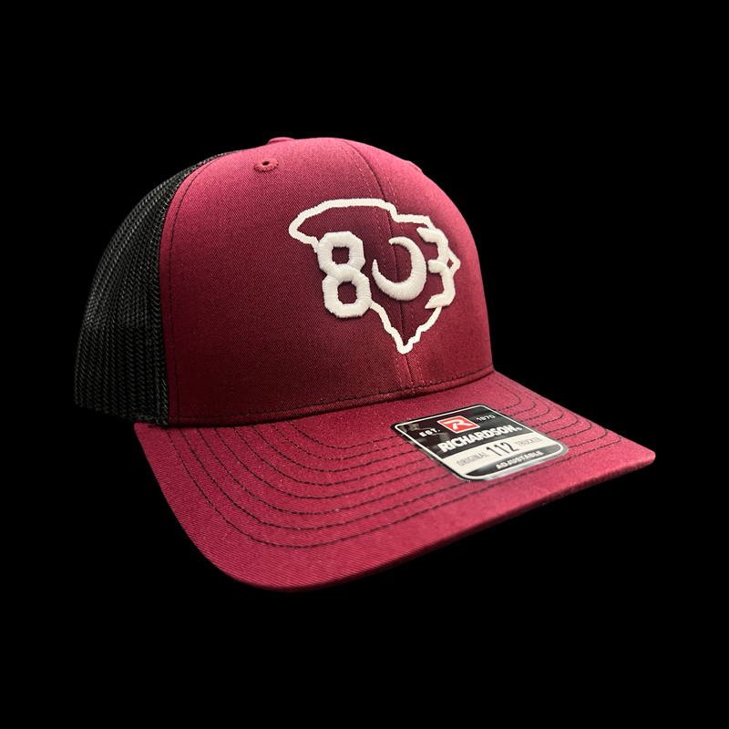 803 Pelion Panthers Special Edition Richardson Trucker Hat