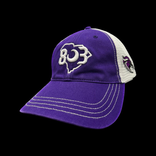 803 Ridge View Blazers Special Edition Purple White Cleanup hat