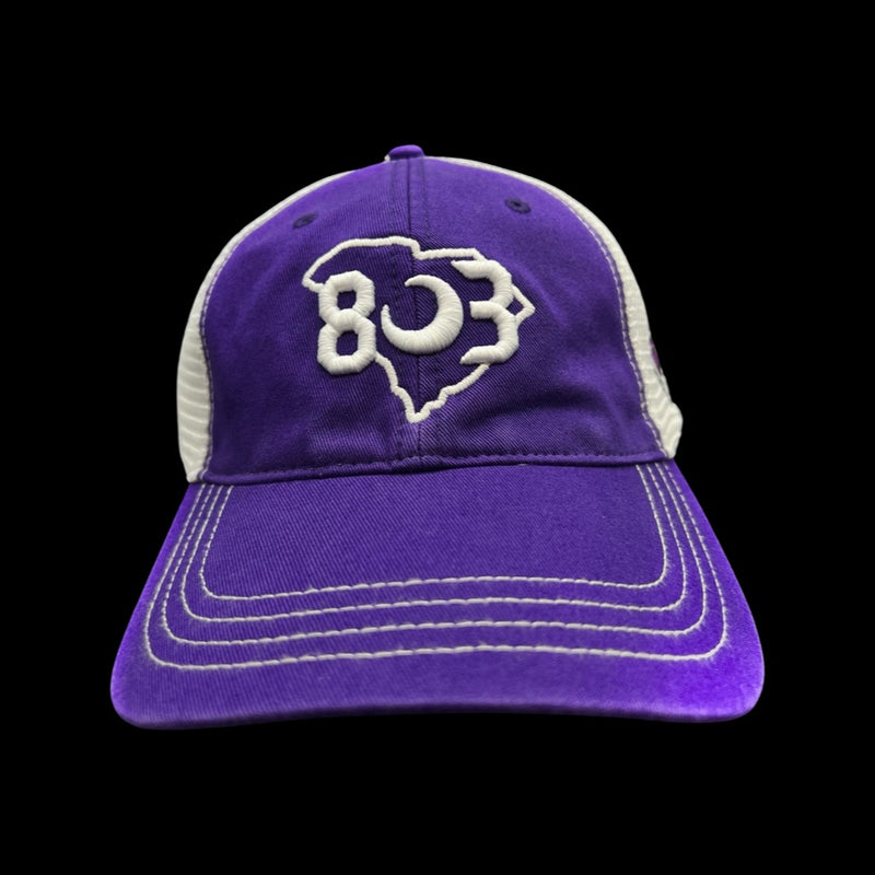 803 Ridge View Blazers Special Edition Purple White Cleanup hat