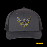 PRE_SALE: **EAGLE TRUCKER** Gray Collegiate Charcoal Black Special Edition Snapback Hat