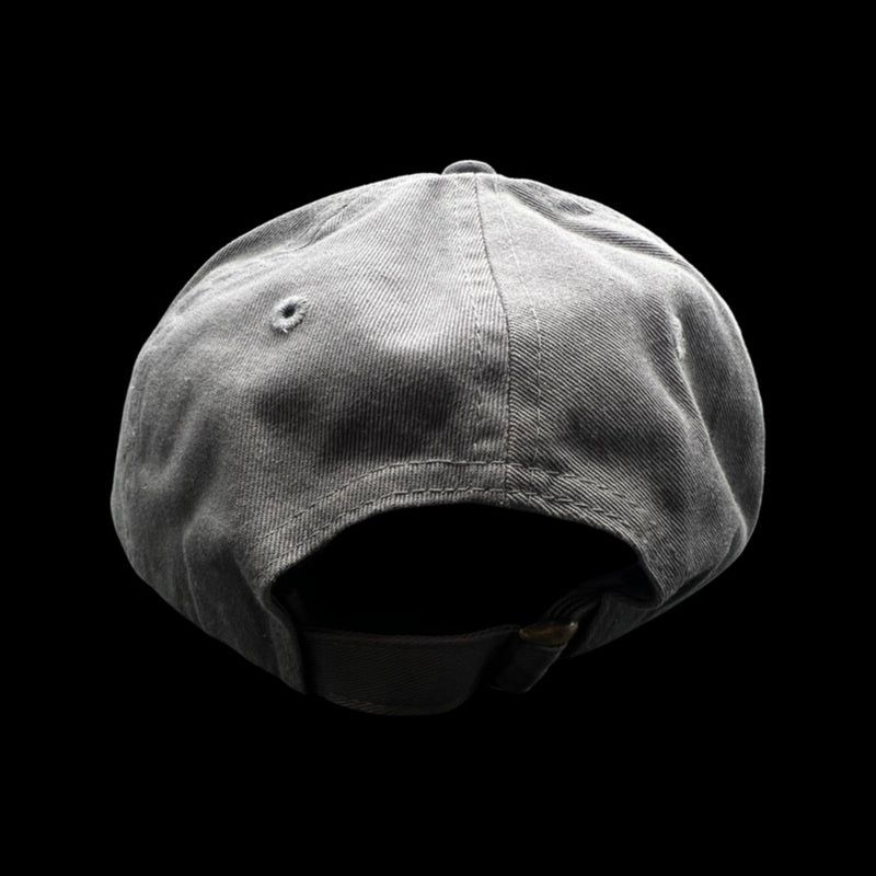 1776 $19 Palmetto Moon Charcoal Cleanup Hat