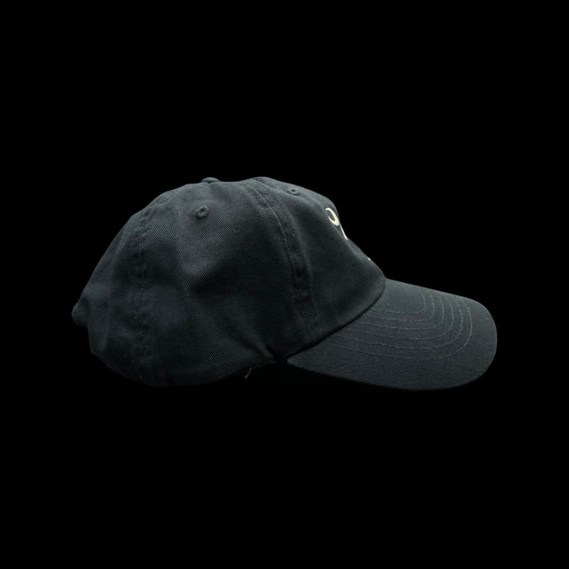 1776 $19 Palmetto Moon Navy Cleanup Hat