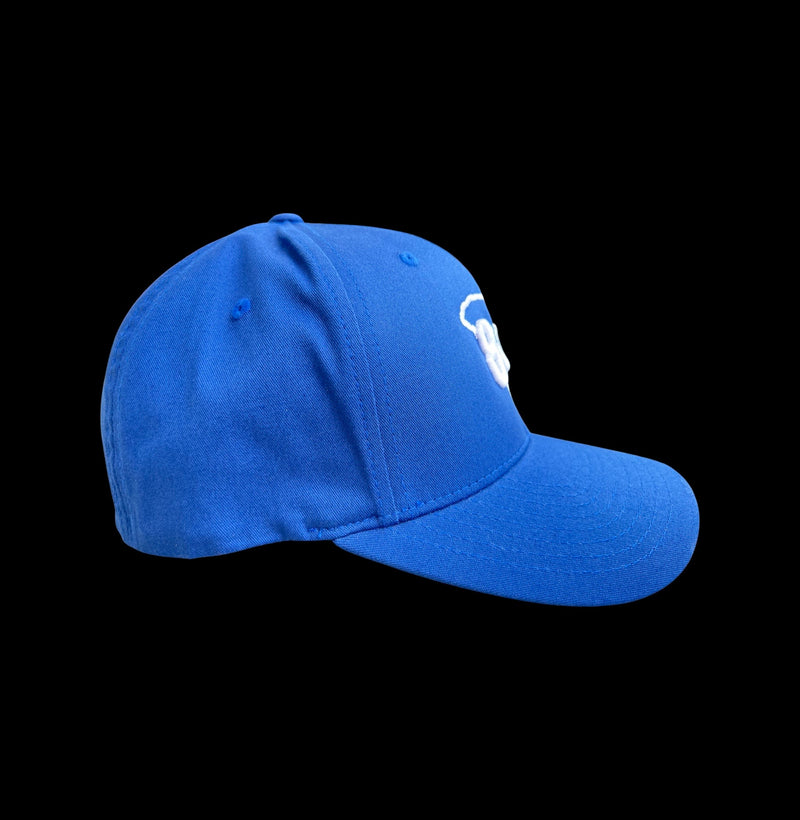 803 Flexfit Royal Blue Fitted Cotton hat