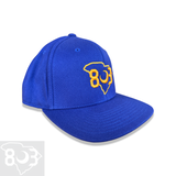 803 Flexfit Lexington Wildcats Special Edition Flatbill Snapback